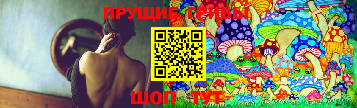Галлюциногенные грибы Cubensis Ступино